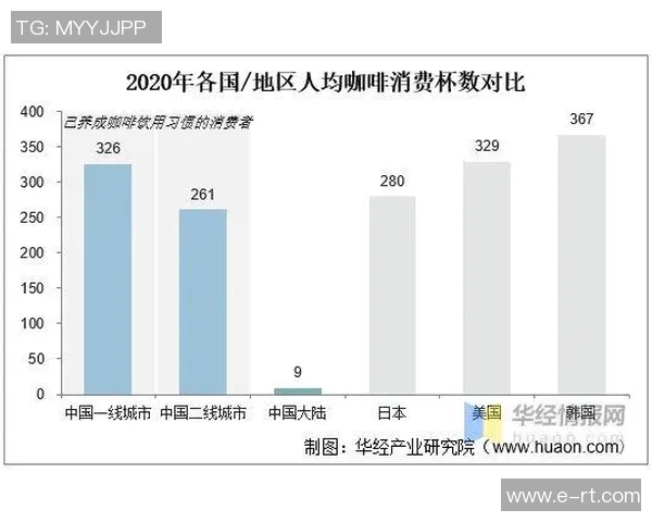南京网球队的崛起与发展：探寻其背后的力量与潜力分析